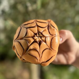 Halloween Chocolate & Orange Buns (Box of 2)