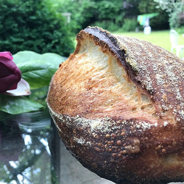 Botanical Bread