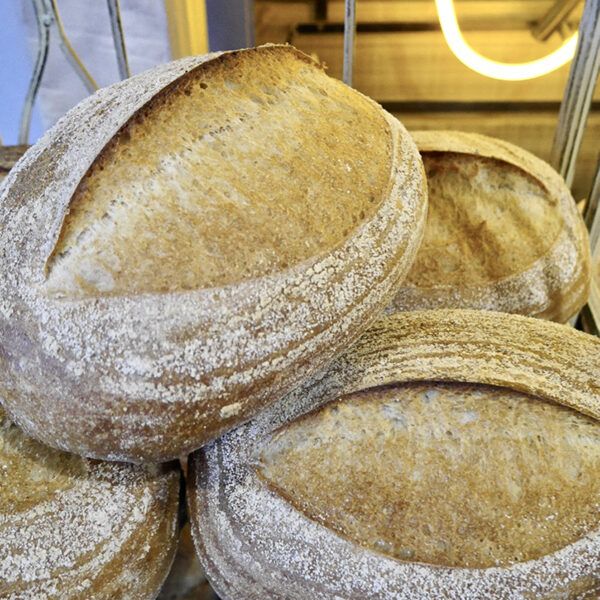 Wheat Sourdough